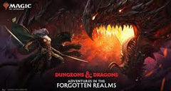 Adventures in the Forgotten Realms release information