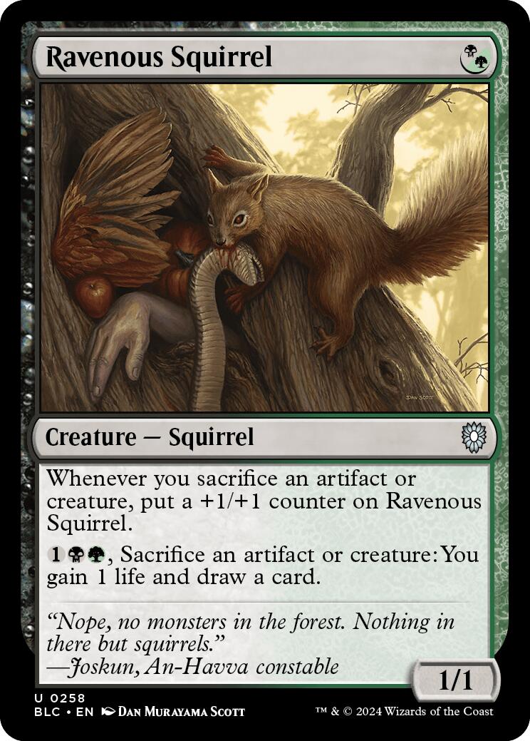 Ravenous Squirrel [Bloomburrow Commander] | Gauntlet Hobbies - Angola