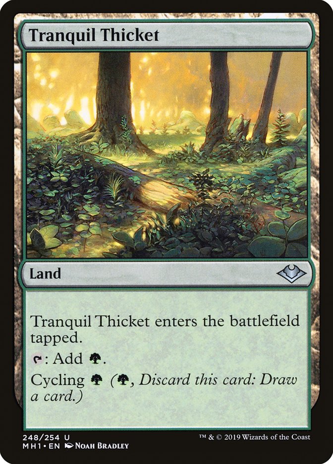 Tranquil Thicket [Modern Horizons] | Gauntlet Hobbies - Angola