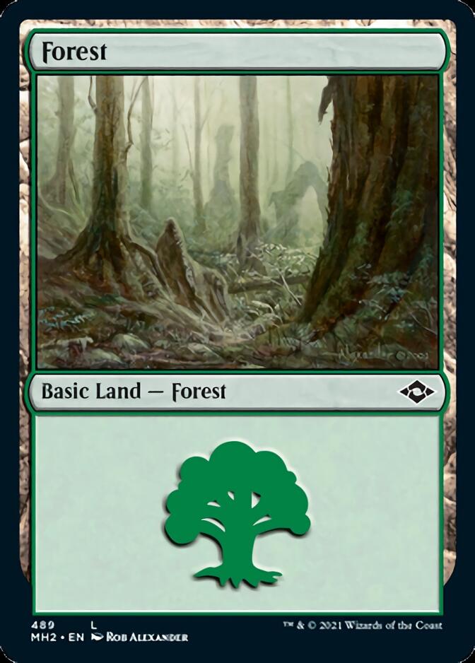 Forest (489) [Modern Horizons 2] | Gauntlet Hobbies - Angola