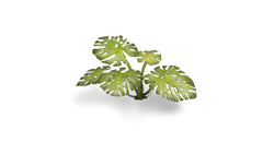 GamersGrass Laser Plants: Monstera