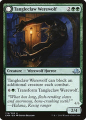 Tangleclaw Werewolf // Fibrous Entangler [Eldritch Moon] | Gauntlet Hobbies - Angola