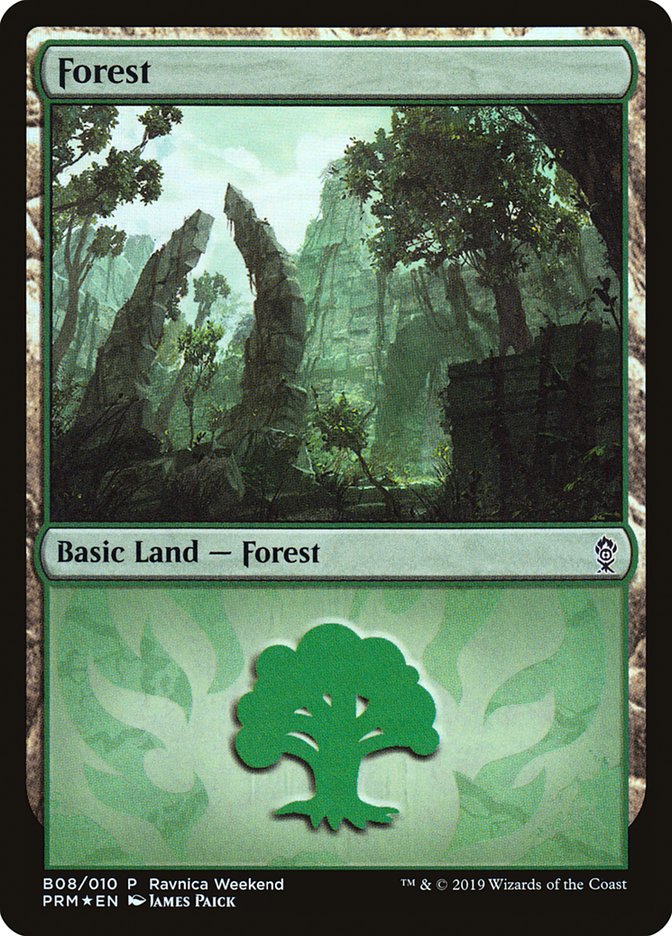 Forest (B08) [Ravnica Allegiance Guild Kit] | Gauntlet Hobbies - Angola