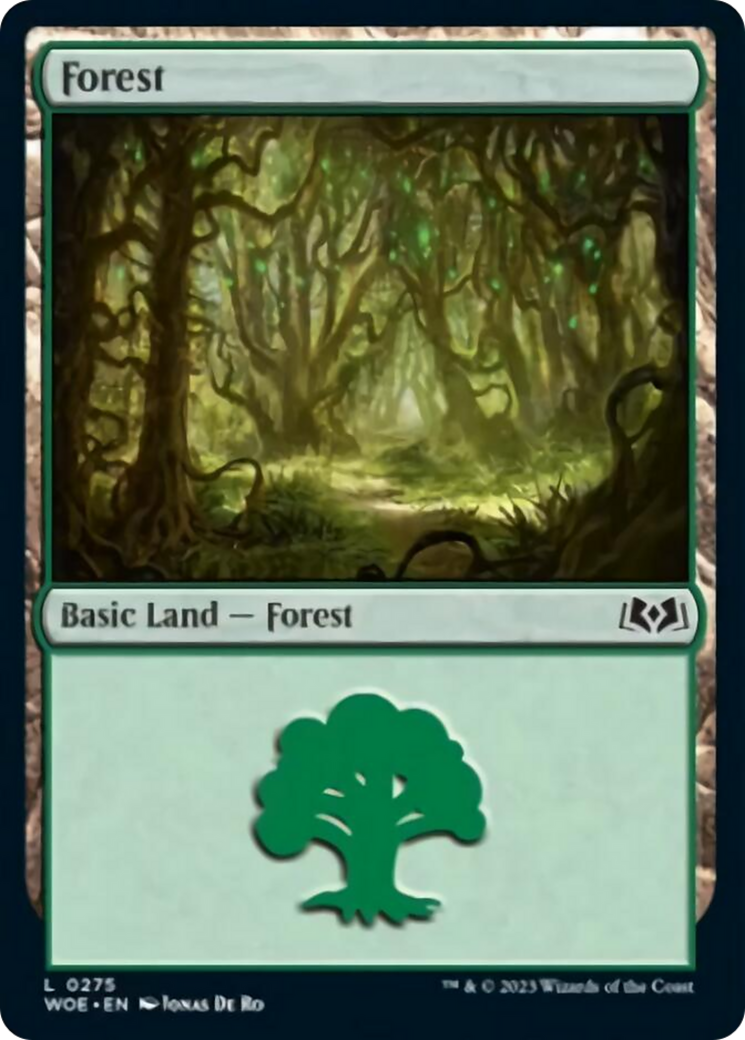 Forest (0275) [Wilds of Eldraine] | Gauntlet Hobbies - Angola