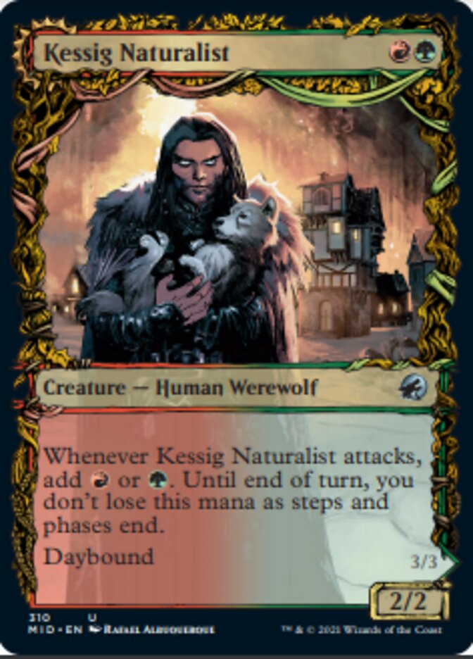 Kessig Naturalist // Lord of the Ulvenwald (Showcase Equinox) [Innistrad: Midnight Hunt] | Gauntlet Hobbies - Angola