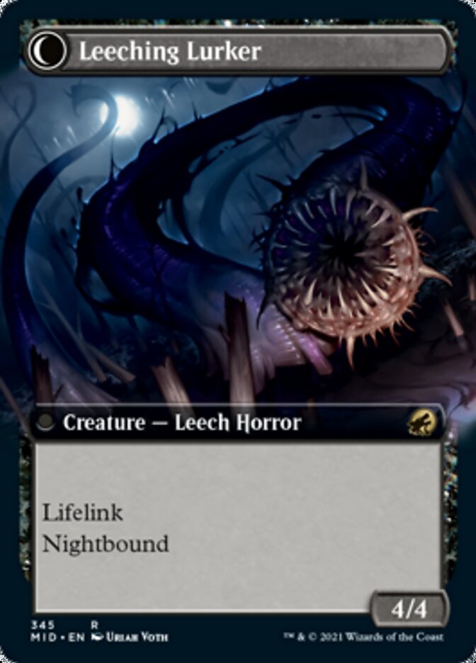 Curse of Leeches // Leeching Lurker (Extended) [Innistrad: Midnight Hunt] | Gauntlet Hobbies - Angola